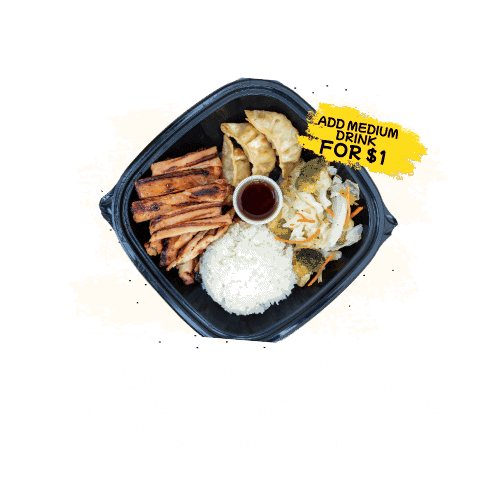 lunch special chicken and gyoza